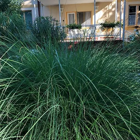 Szem-s Ueduelo Es Lakopark A Szem-s Vendeghaz Uj Neve Гостевой дом