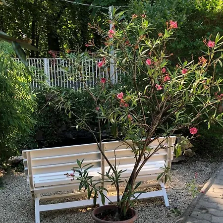 Szem-s Ueduelo Es Lakopark A Szem-s Vendeghaz Uj Neve