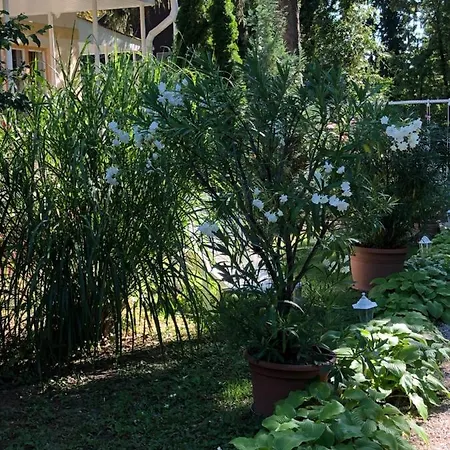 Szem-s Vendeghaz Penzion