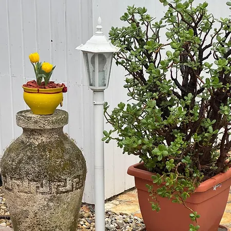 Pensionat Szem-s Ueduelo Es Lakopark A Szem-s Vendeghaz Uj Neve