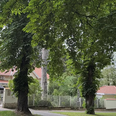 Szem-s 4*