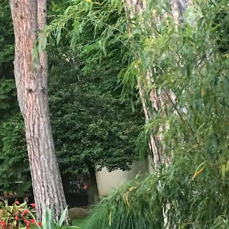 Szem-s Ueduelo Es Lakopark A Szem-s Vendeghaz Uj Neve Гостевой дом Балатонсемеш