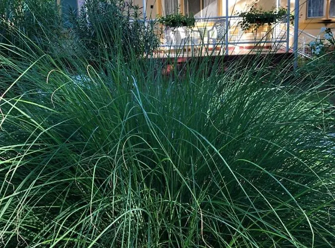 Szem-s Maison d'hôtes