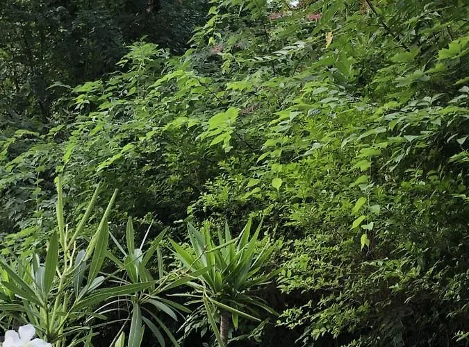 Vendégház Szem-s 4*