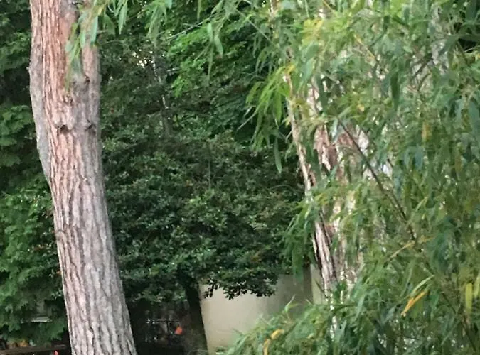 Szem-s Maison d'hôtes Balatonszárszó